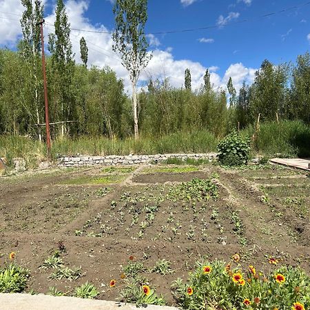 Nature Palace Farmstay She Esterno foto